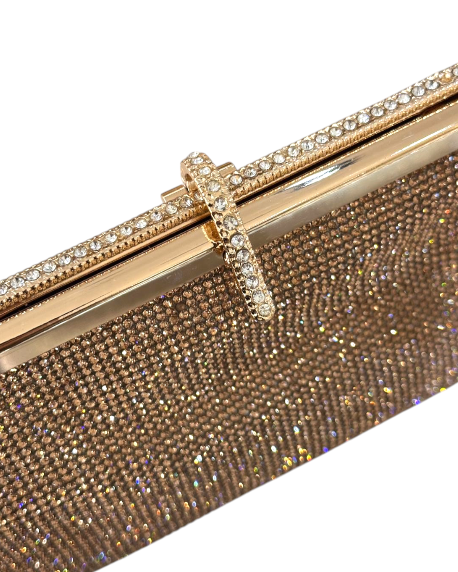 Crystal Frame Handbag