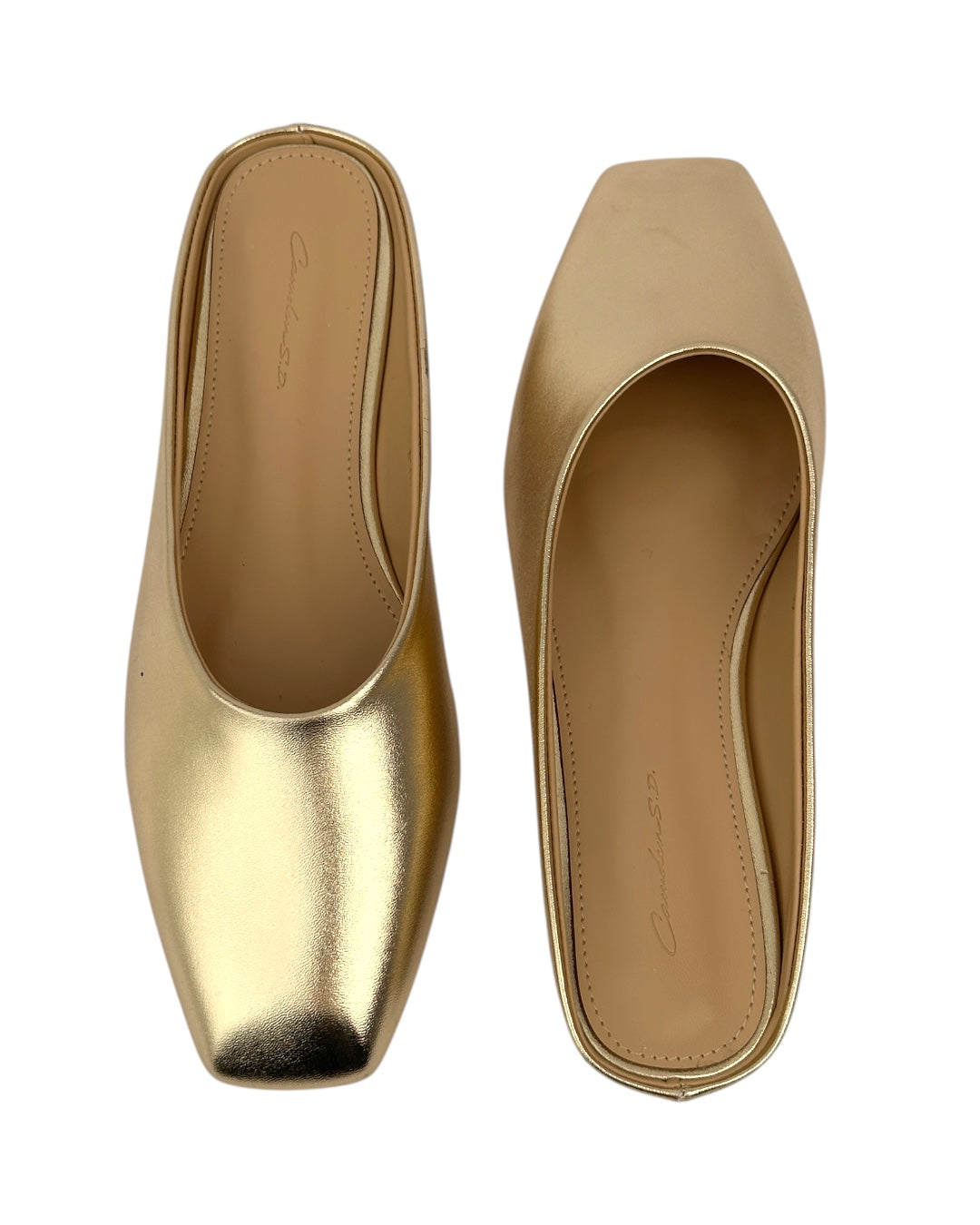 Shiny slipper