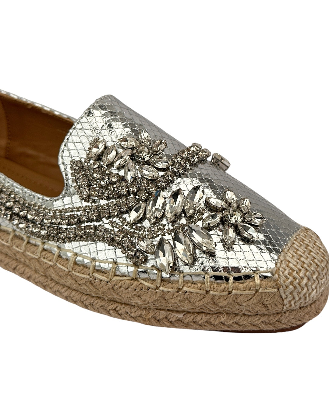 Shiny Topsider