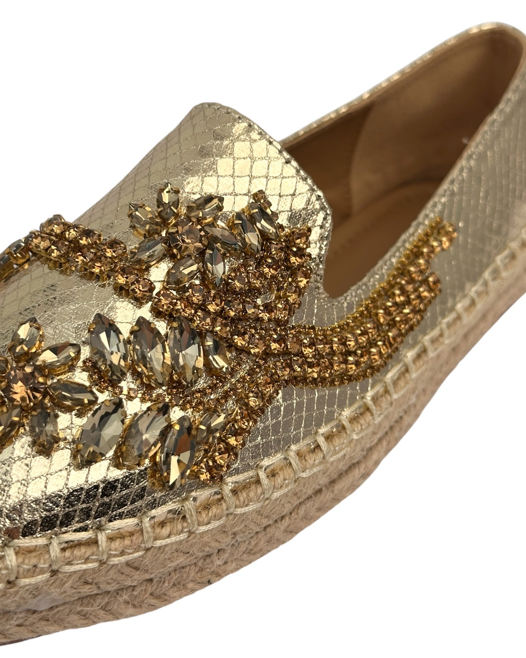 Shiny Topsider
