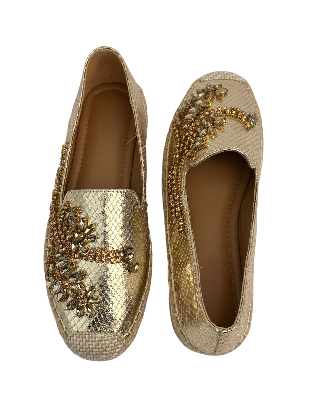 Shiny Topsider