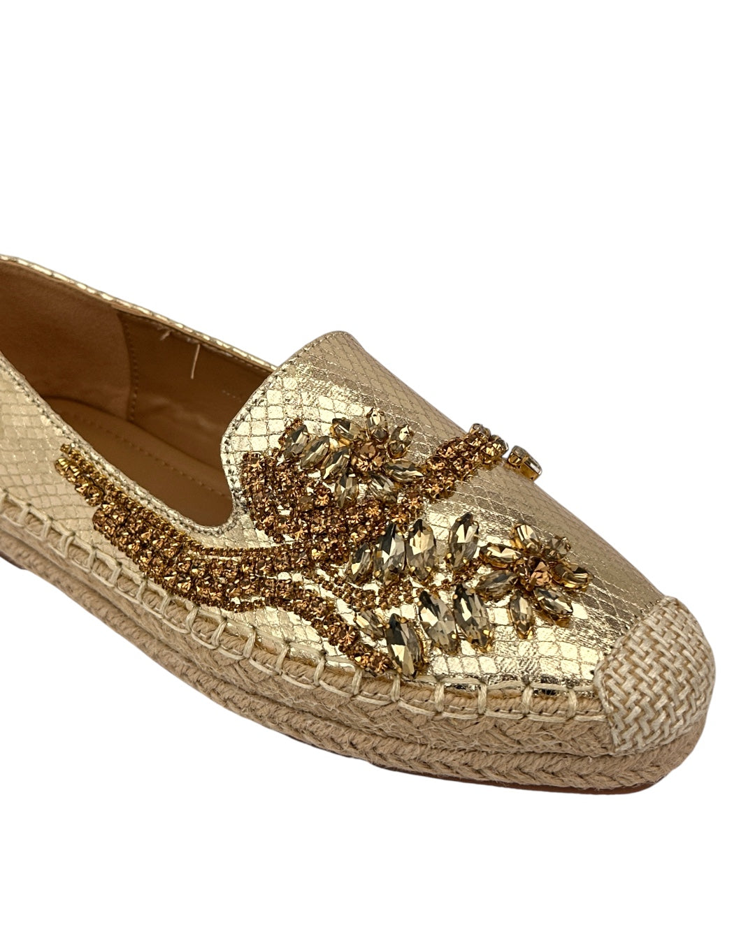 Shiny Topsider