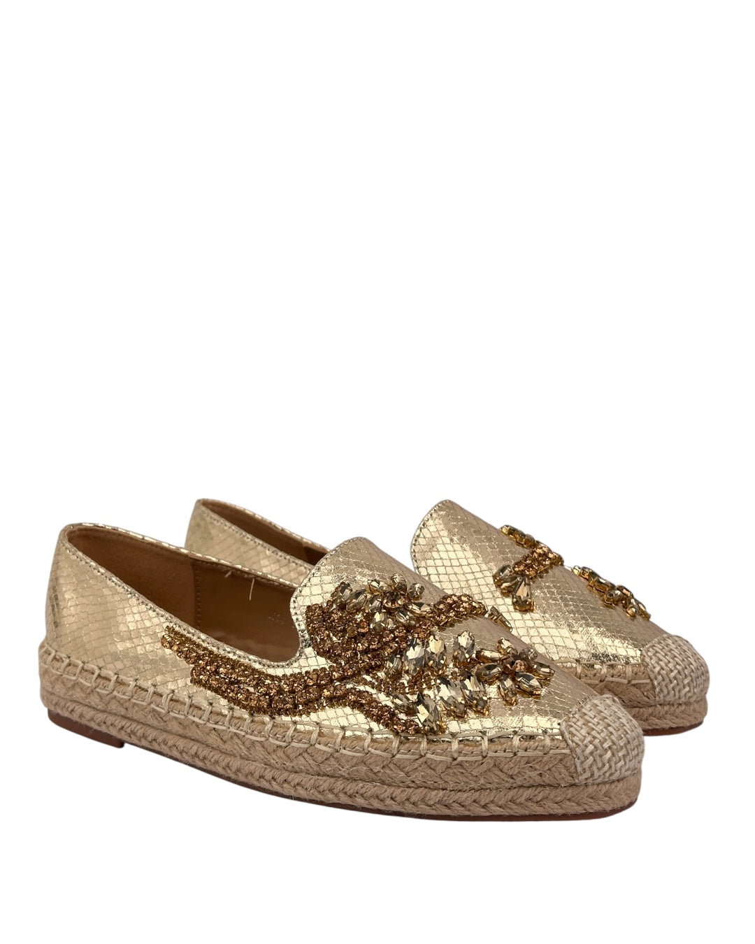 Shiny Topsider