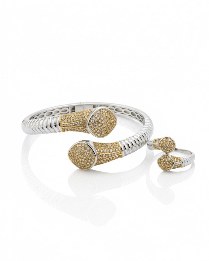 طقم من الذهب والفضة