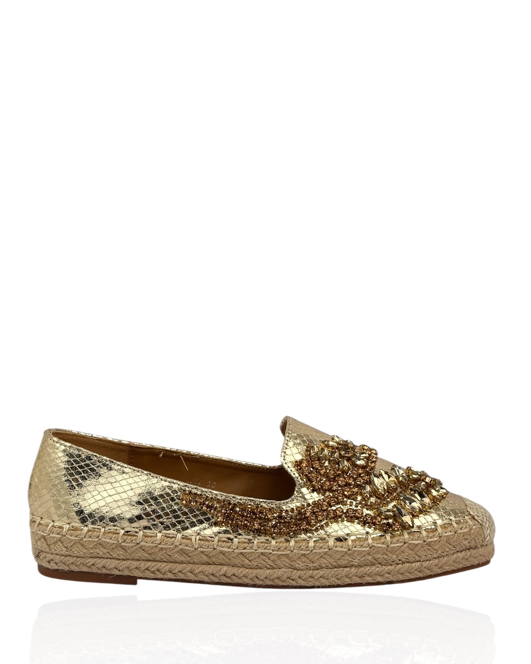 Shiny Topsider